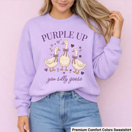 Silly Goose Comfrot Colors Crewneck